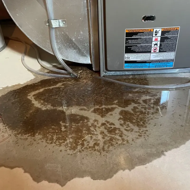 Pipe Burst and Leak Restoration in Highmore, SD