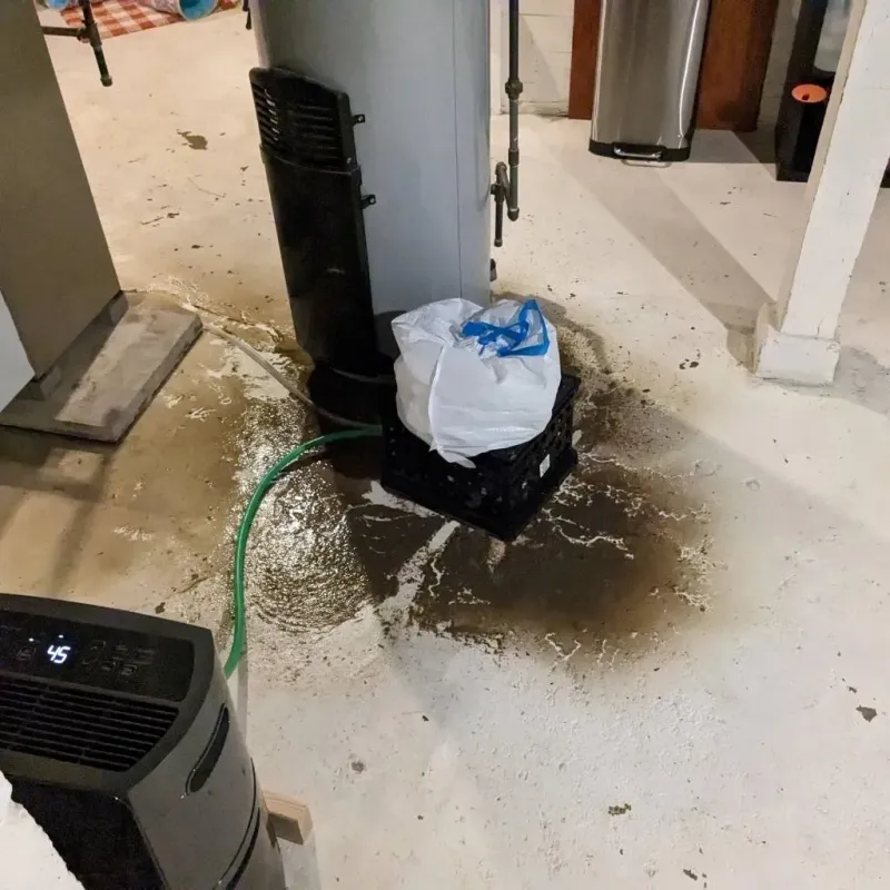 Sewage Backup Cleanup Service in Highmore, SD